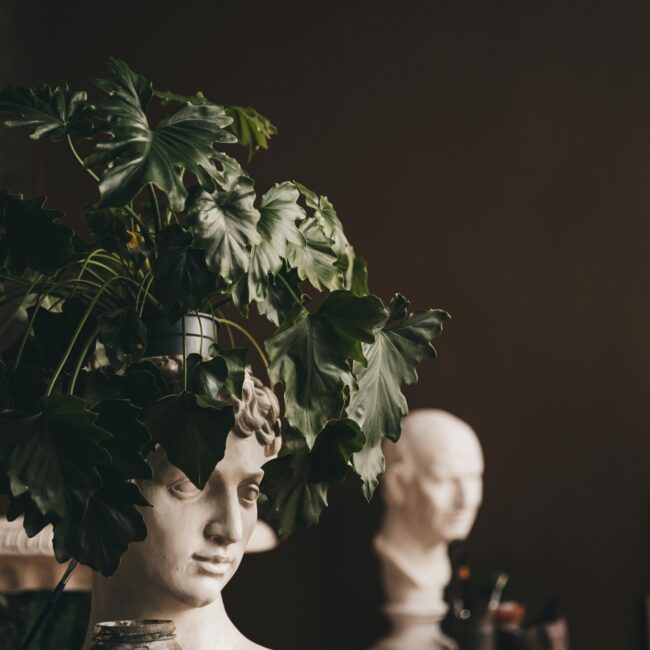 Bust plant